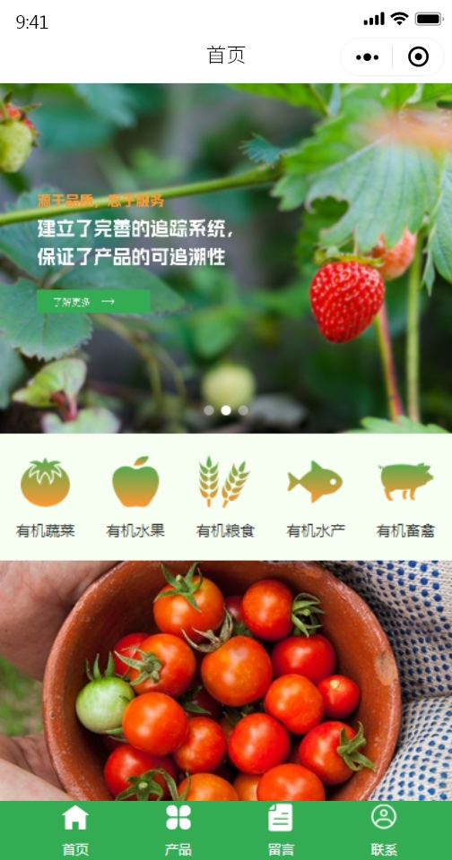 精选有机食品行业模板